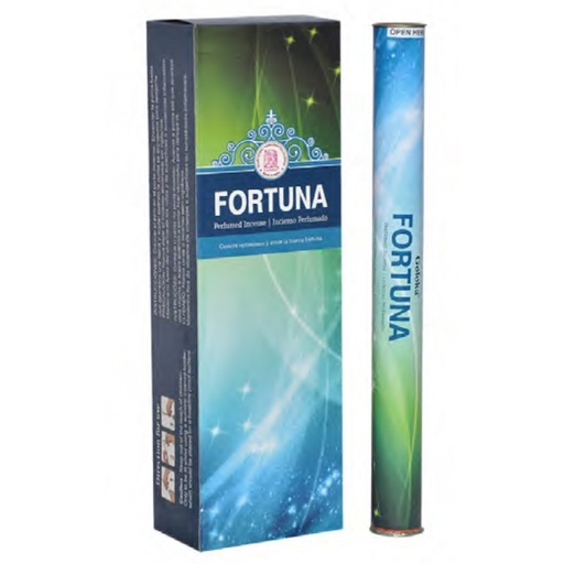 [008770] INC. FORTUNA GOLOKA 6 TUBOS CILINDRICOS